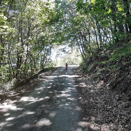 Porta Del Colle Villa Roccavivara Dış mekan fotoğraf