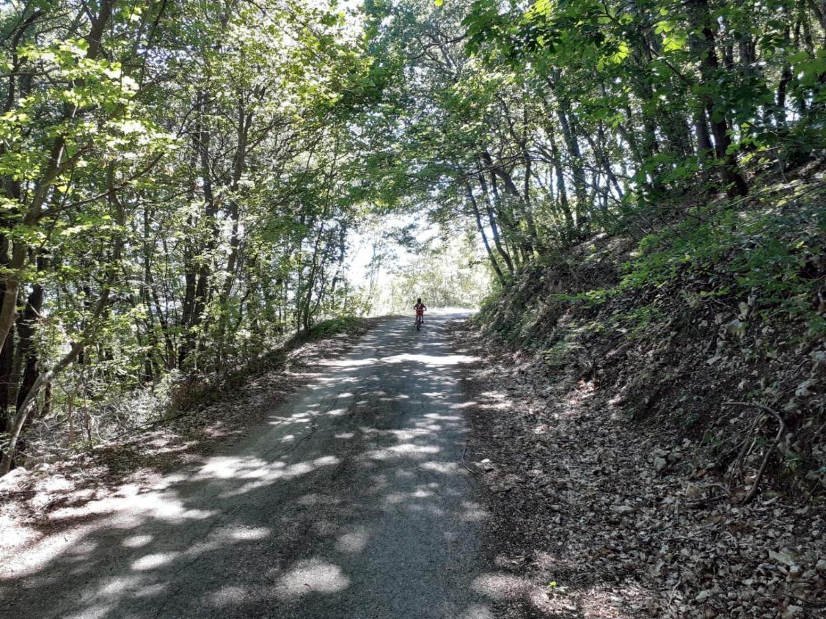 Porta Del Colle Villa Roccavivara Dış mekan fotoğraf